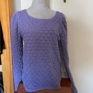 Anniewear purple top.  Worn 2x.  Smoke free home.